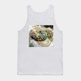 Scorpion Fish Tank Top